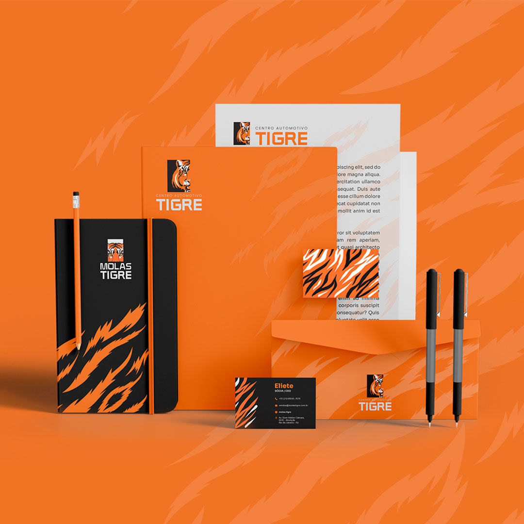 portfolio_tigre2024_08